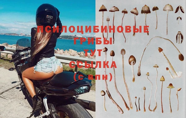 скорость Елабуга
