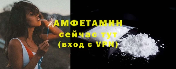 спиды Дмитриев