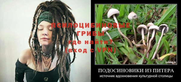 спиды Дмитриев